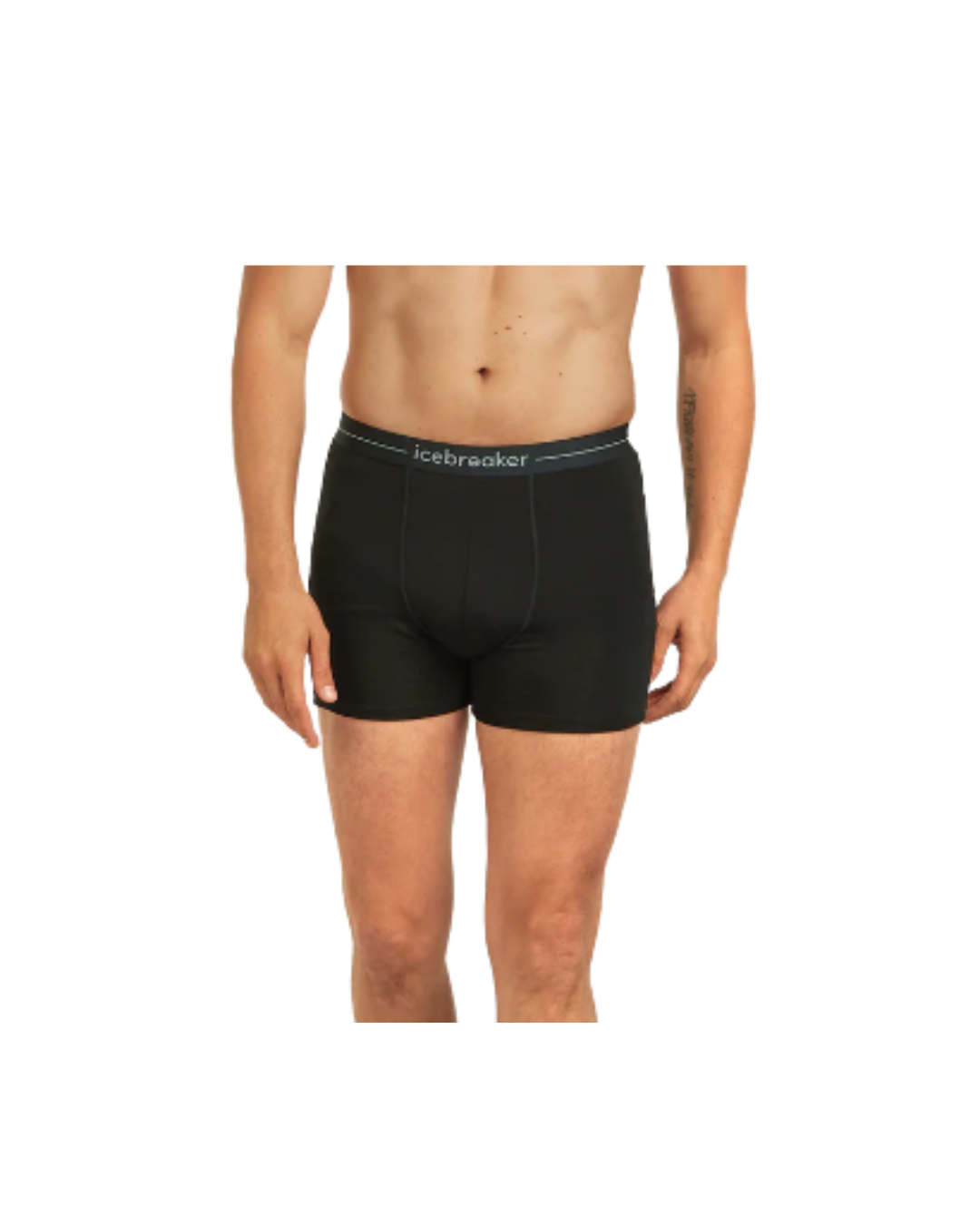 ICEBREAKER MENS ANATOMICA BOXERS