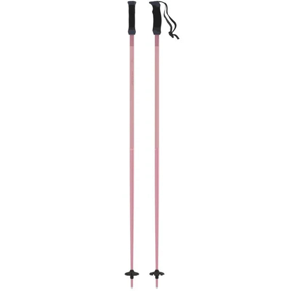AMT SQS W SKI POLE