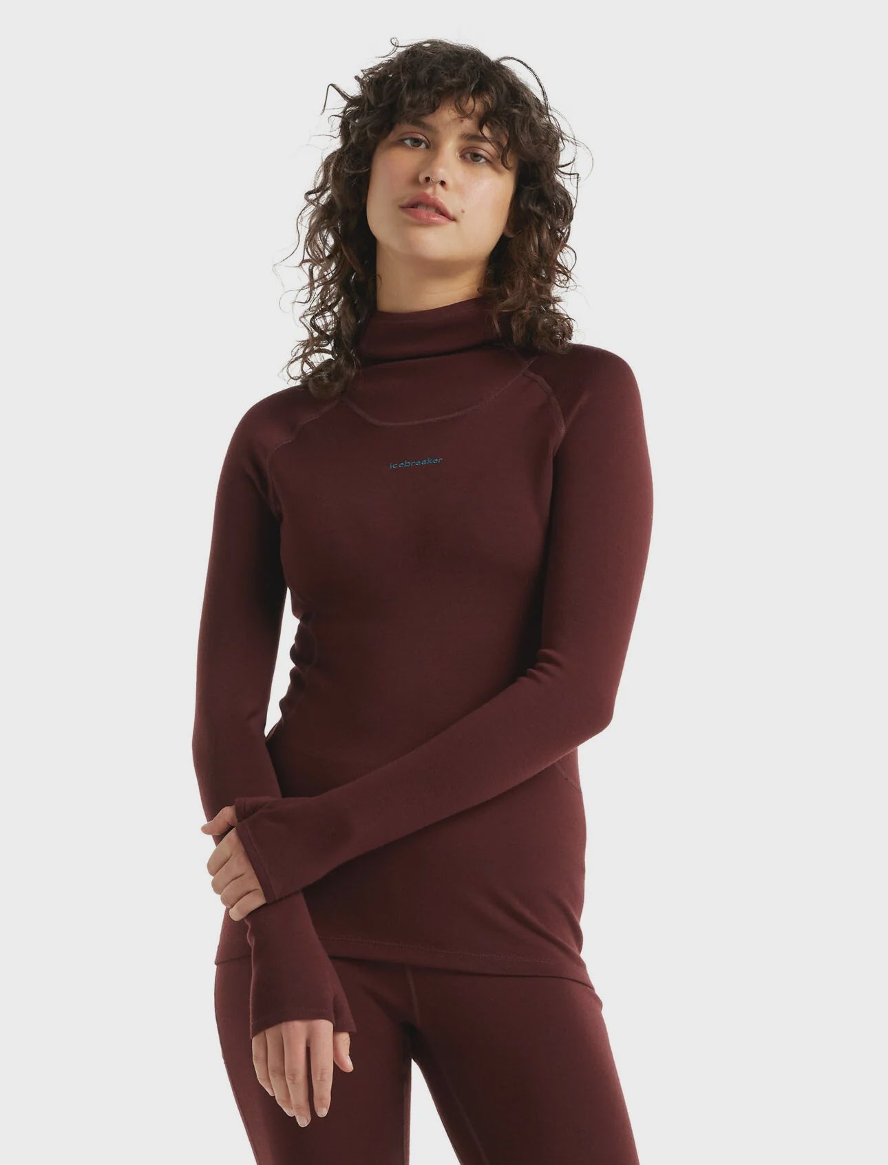 ICEBREAKER WMS LS Roll Neck