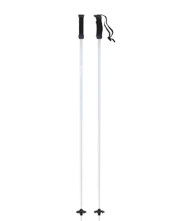 AMT SQS W SKI POLE
