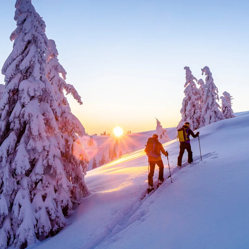Snow-Shoe Sale