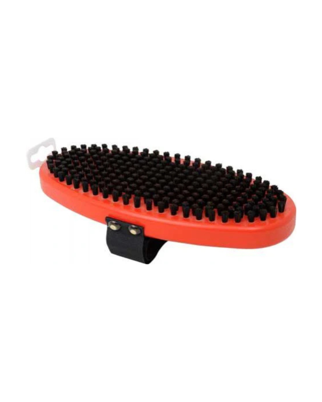 Swix T1570 Oval Horse Hair Brush