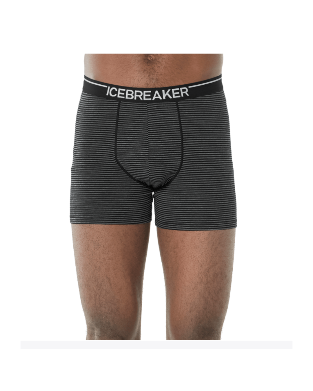 ICEBREAKER MENS ANATOMICA BOXERS