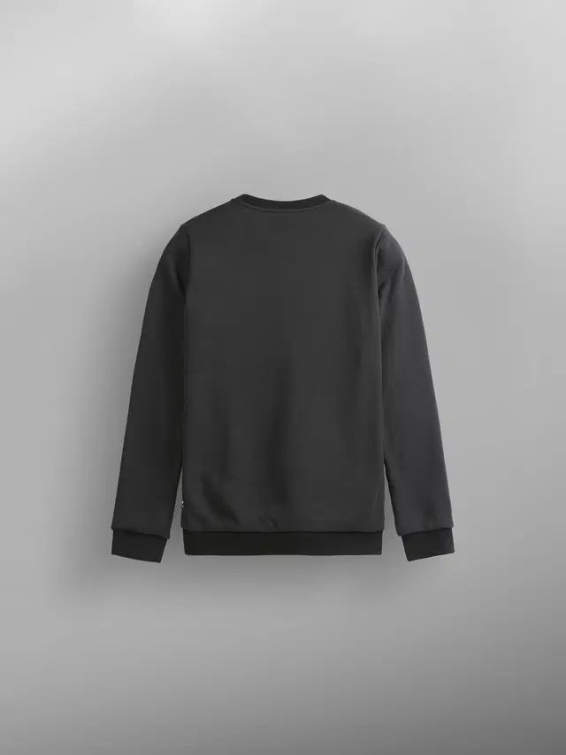 PICTURE TOFU SWEATER