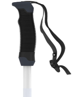 AMT SQS W SKI POLE